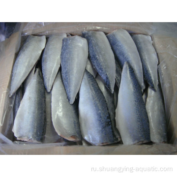 Frozen Fish Pacific Mackerel Fillet в ваккумной пакете